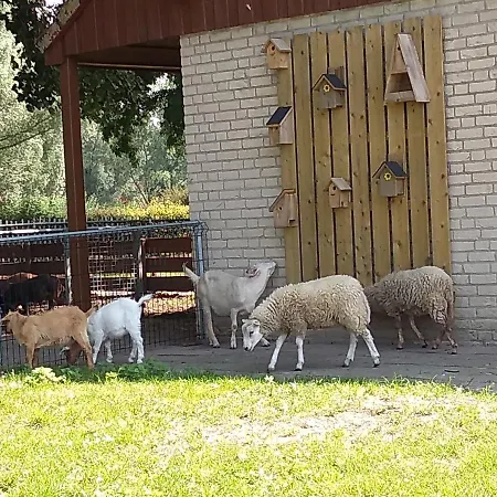 Ferienhaus Ellen's *